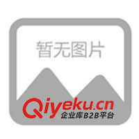 09年春夏休閑情侶裝，運動時尚裝，征全國各地批發(fā)商